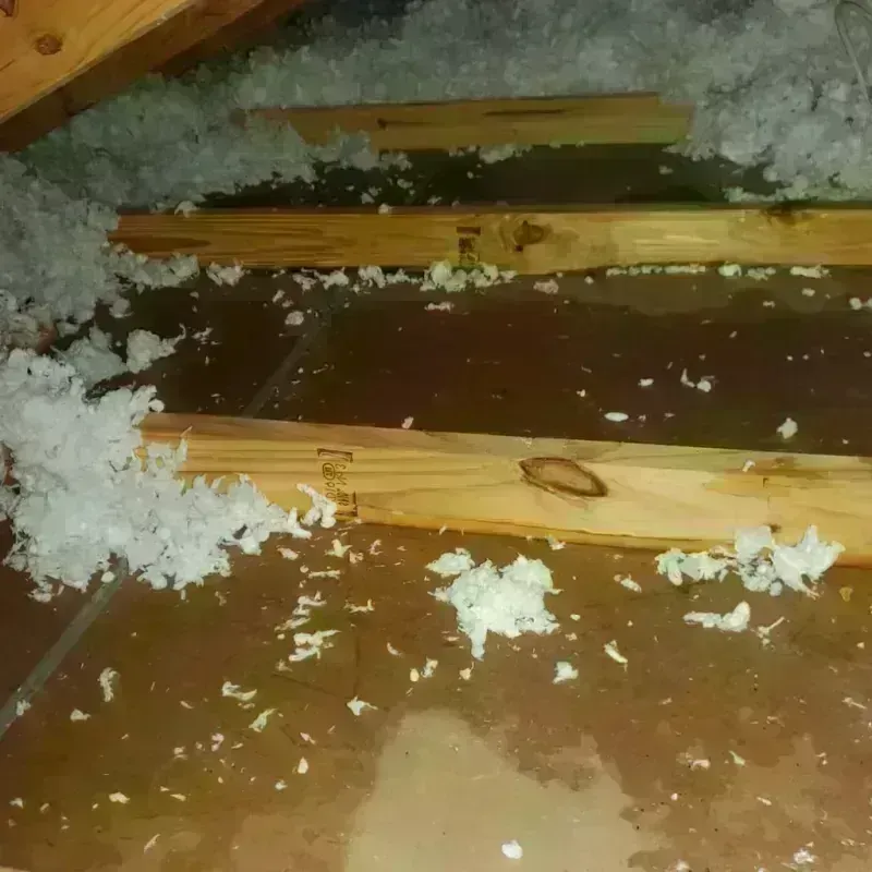 Attic Water Damage in Norwich, NY